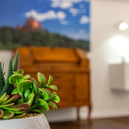 Righi Suite Apartment Bologne Extérieur photo